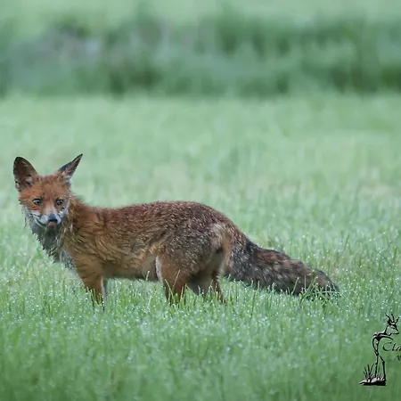 Pipowagen Warm Welkom 3*