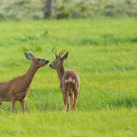 Pipowagen Warm Welkom