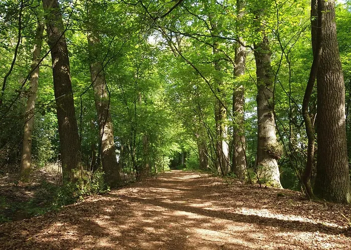 Bed & Breakfast Pipowagen Warm Welkom 3*