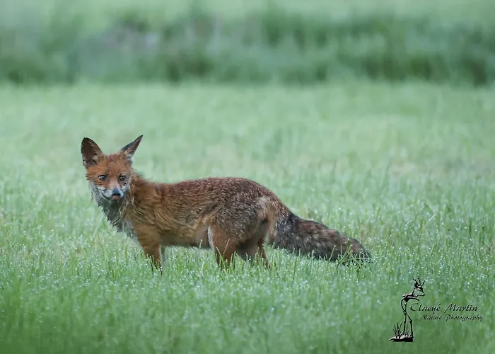 Pipowagen Warm Welkom 3*