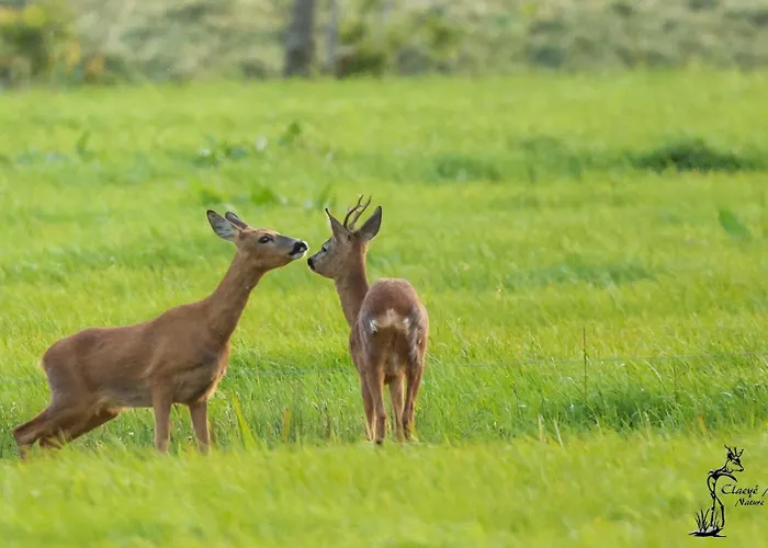 Pipowagen Warm Welkom